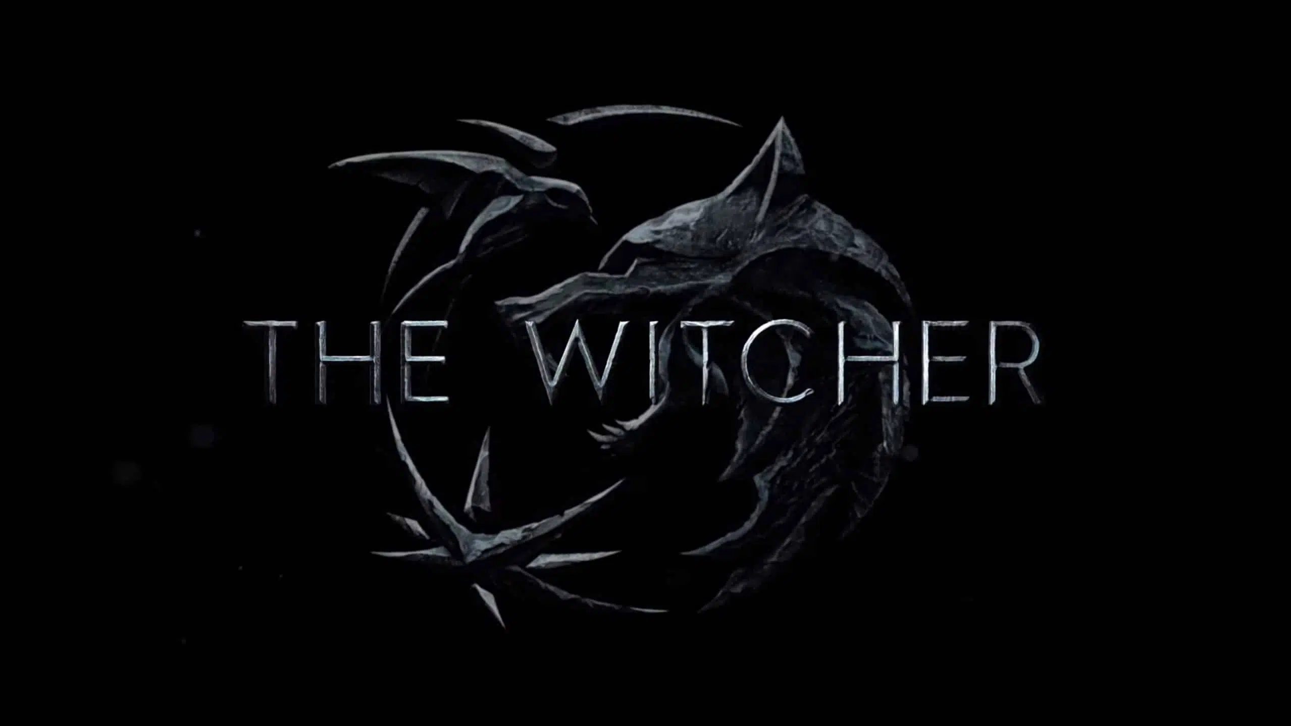 the witcher netflix